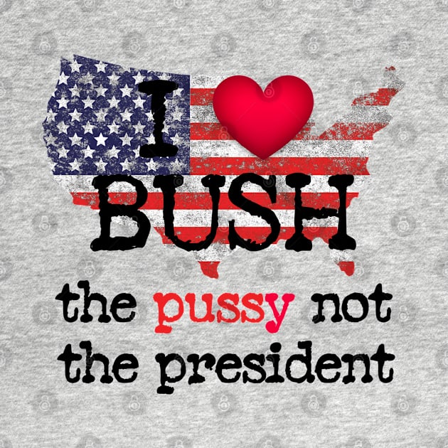 I love Bush not the president by ARRIGO